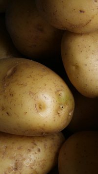 Batatas podem absorver e refletir o Wi-fi