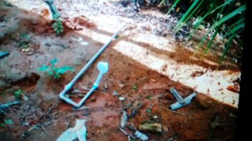 Imagem Ribeirão do Largo: idoso surta, destrói lavoura e ameaça moradores com facão