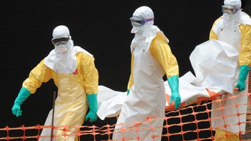 Imagem Ministro da Saúde diz que brasileiros não devem temer vírus ebola