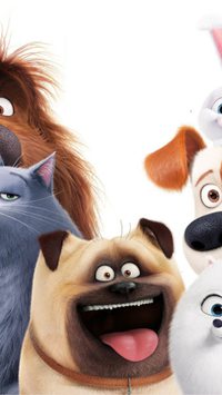 Saiba quais são as raças de cachorro do filme Pets