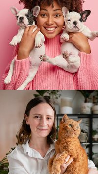 Quem é mais feliz? Donos de gatos ou cães?